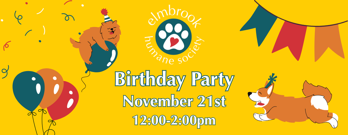 Birthday Party - November 21, 12-2pm